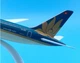 Колекційна металева лита модель пасажирського літака 1:300 Boeing 787 Vietnam Airlines 20 см - зображення 4