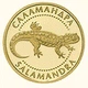 Монета Украина 2 гривны 2003 Золото Proof Саламандра (Au 999.9, 1,24 грамм) - изображение 1