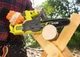 Пила цепная аккумуляторная Ryobi RY18CS20A-0 ONE+ (5133005414) - зображення 2