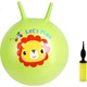 Мяч сенсорный Fisher-Price надувной 38см зеленый с насосом детский - изображение 2