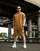 Летний комплект Stone Island LINER коричневый мужской футболка и шорты трикотаж пенье XXXL - изображение 2