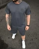 Летний комплект Stone Island LINER серый мужской футболка и шорты трикотаж пенье XL - изображение 8