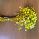 Стабілізовані сухоцвіти гіпсофіла. Жовтий - изображение 2