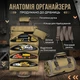 Водонепроницаемая сумка-скрутка для инструментов с 11 отделениями (Коричневый) - изображение 8