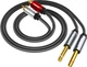 Аудиокабель ZHENWEI 2 x 6.35 мм – 2 x RCA 5 м Black - изображение 1