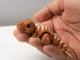 Брелок Тираннозавр Гибкий Flexi Dino T-Rex Articulated 8 См 3Д Печать - изображение 2
