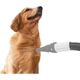 Фен для шерсті собак Jinchongshi Pet Smart Blower, інструмент для догляду за шерстю великих собак, для золотистих ретриверів, потужність 2100 Вт. - зображення 2