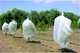 Агроволокно белое укрывное Greentex R30 1.6×100 м, 30 г/м² — защита растений от заморозков, солнца и вредителей - изображение 8