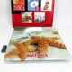 Весы напольные MATARIX MX-452 180 кг, Весы для измерения массы тела, Электронные весы звезды 5108960 - изображение 4