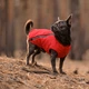 Жилет для собак Pet Fashion E Vest красный демисезонный из полиэстера размер XS - изображение 3