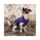 Жилет для собак Pet Fashion E Vest фиолетовый демисезонный из полиэстера размер XS - изображение 4