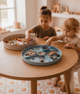 Піднос для рукоділля Jellystone Designs Play Tray 2в1 Блакитний (9343900011495) - зображення 15