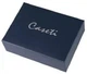 Брелок Caseti Серебристый (CAB300174) - изображение 4