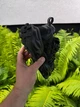 Женские кроссовки люкс натуральная кожа, сетка и текстиль со стразами на массивной подошве размер 36 черные (s1705) - зображення 3
