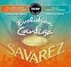 Струны для классических гитар Savarez Evolution Cantiga Premium 510ERJP Mixed Tension (R129021) - изображение 1