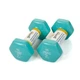 Гантели для фитнеса с виниловым покрытием Gemini Sport GSD-2.0CYAN 2 шт, по 2 кг, голубые - изображение 2