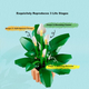Конструктор LEGO Botanicals Лилия мира 474 детали (11504) - изображение 4