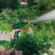 Обприскувач високого тиску 4 В з баком на 5 літрів Parkside PADS 5 A1 - зображення 5