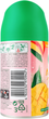 Сменный баллон для освежителя воздуха Air Wick Freshmatic Манго и персик 250 мл - изображение 2