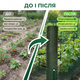 Сітка пластикова AgroStar 1,5х20м для огорожі грядок саду дачі комірка 20х20мм екструдована зелена - зображення 4