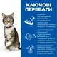 Hill's SCIENCE PLAN Adult Oral Care Сухий корм для підтримки здоров'я ротової порожнини та зубів дорослих котів, з куркою, 1,5 кг - зображення 2