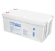 Акумулятор літій залізо фосфатний LiFePO4 for UPS Prologix PLFP-12200 12.8V 200AH 2560Wh - зображення 2