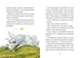Книга "Курт Єдиноріг — єдина місія" - Шанталь Шрайбер - зображення 5