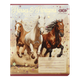 Зошит ZiBi 24 аркуша лінія Horses 3 (ZB25.1770L) - изображение 1