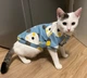 Кофта для котів (кішок) Лакі Зайчик L Блакитний - зображення 11