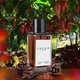 Fragrance World Cacao 100 ml – унісекс парфумована вода - зображення 3