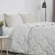 Одеяло двуспальное ТЕП VELOUR 1-04871_34484 180х210 см светло-серое 5192270 - изображение 2