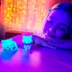 Колекційна фігурка-сюрприз YOU YOU - ВЕСЕЛКОВІ КОШЕНЯТА (в диспл.), 58 СN-2020 - изображение 6
