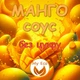 Соус МАНГО для овощей, сыра, мяса, рыбы БЕЗ САХАРА, вес 400г - изображение 1