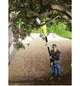 Высоторез-Кусторез Ryobi RP750450 750/450Вт - изображение 3