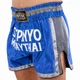 Шорты для тайского бокса и кикбоксинга синие Pride Muay Thai 522 размер XL (50-52) - изображение 3