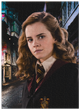 Пазл Hard-M Harry Potter. Портрет Герміони 200577 - изображение 4