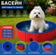 Літній басейн для собак PetJoy 100х30 - изображение 2