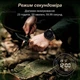 Чоловічий цифровий годинник North Edge Terrax + Браслет з паракорду оливковий - изображение 14