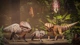Ключ активации Jurassic World Evolution 3: Rebirth Bundle для Xbox Series S/X - изображение 2