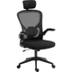 Крісло ігрове Sandberg ErgoFusion Gaming Chair Basic, чорне - изображение 1
