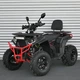 Квадроцикл бензиновый Profi AFB200L-2-3 12V9Ah, колеса 10", черно-красный - изображение 1