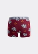 Боксеры мужские хлопковые принтованные Giulia G-MAN PRINT 20401/60 XL Multicolor-burgundy/bulldog print, анатомический крой - изображение 4