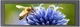 Монитор портативный 14.9" VSDISPLAY VS149ZJ01A 1280 х 390 TN 60 Гц (102140786) - Уценка - изображение 1
