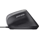 Мишка Trust Bayo II Ergonomic USB Black (25144) - зображення 5
