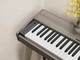 Цифровое фортепиано Donner DDP-60 CG (5322579) - изображение 2