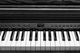 Цифровое фортепиано Kurzweil CUP E1 BK (530143) - изображение 4