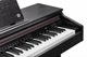 Цифровое фортепиано Kurzweil CUP E1 SR (530141) - изображение 2