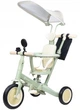 Беговел Tri-cycle 5in1 Cruiser Versa зеленый углеродистая сталь возраст 1-3 года - изображение 1