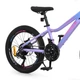 Велосипед детский Profi Balance BL-2002, алюминиевая рама, надувные резиновые колеса 20", 21 скорость, сиреневый - изображение 2