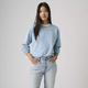Женский свитер Levi's (199105448616) Graphic Everyday Crewneck L голубой - изображение 1